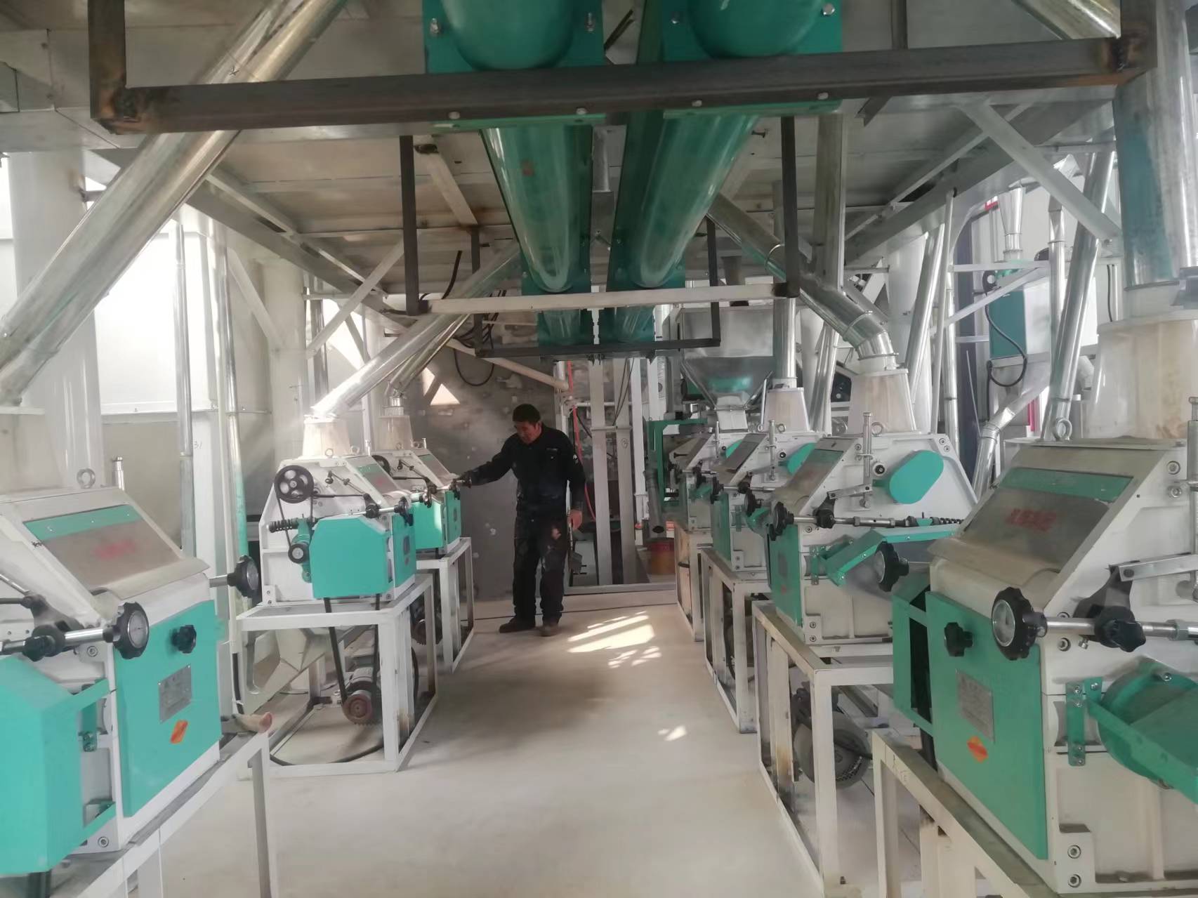 河北省沧州市黄骅市日产40吨面粉机生产线和五加一石磨面粉机
